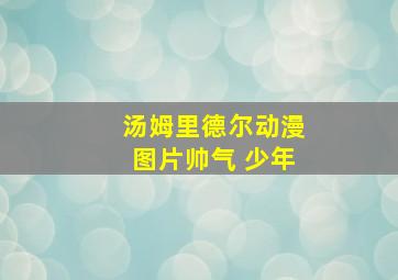 汤姆里德尔动漫图片帅气 少年